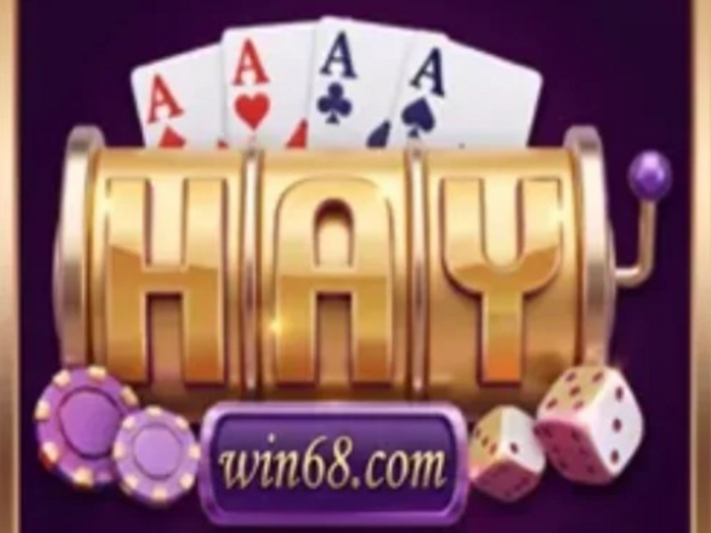 Haywin68com