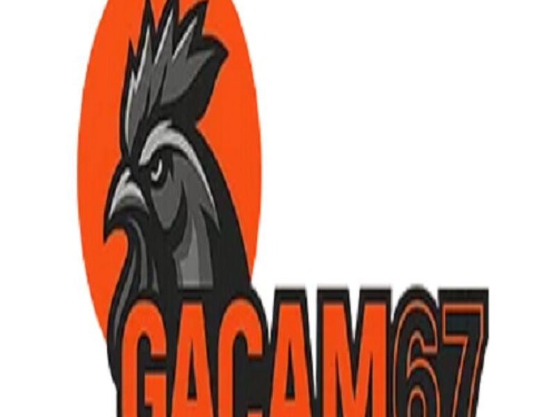 gacam67ringger