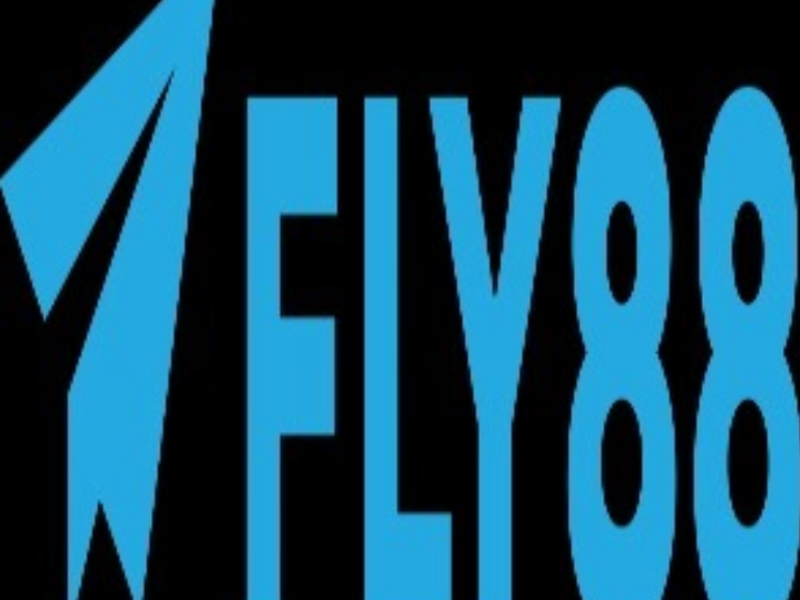 Fly88tours