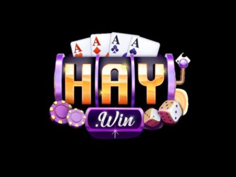 haywin2026com