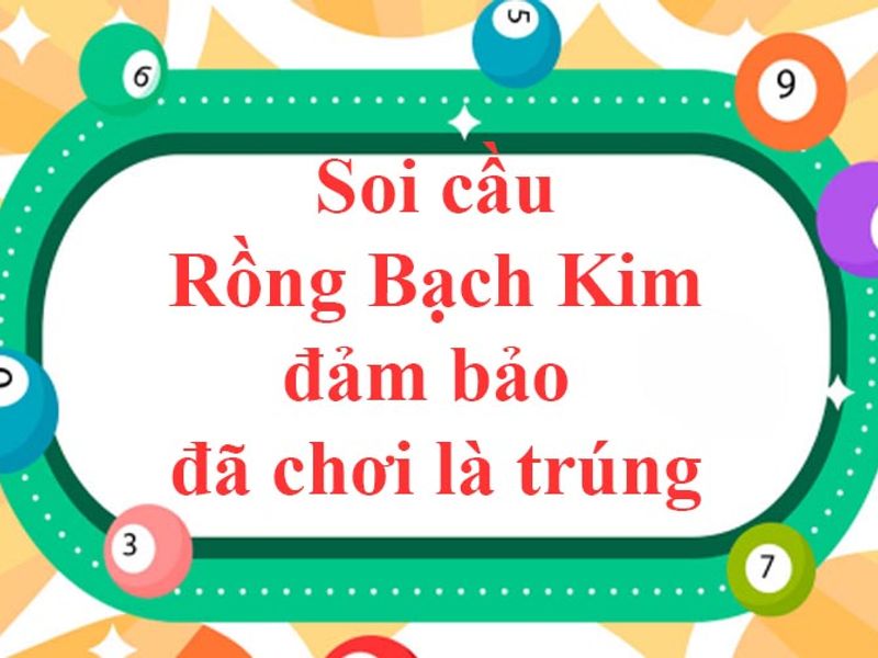 rongbachkimsoicau