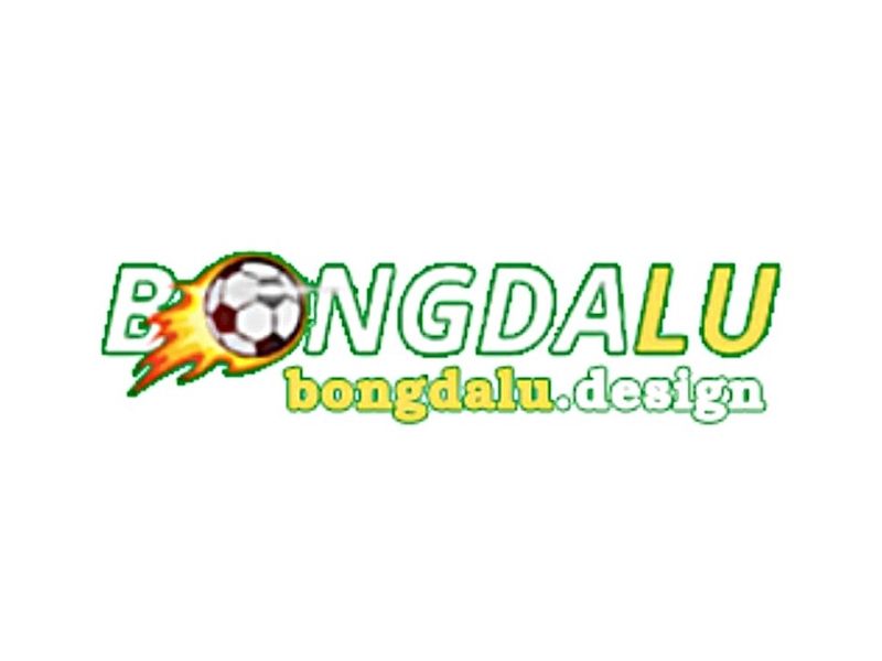 Bongdaludesignvn