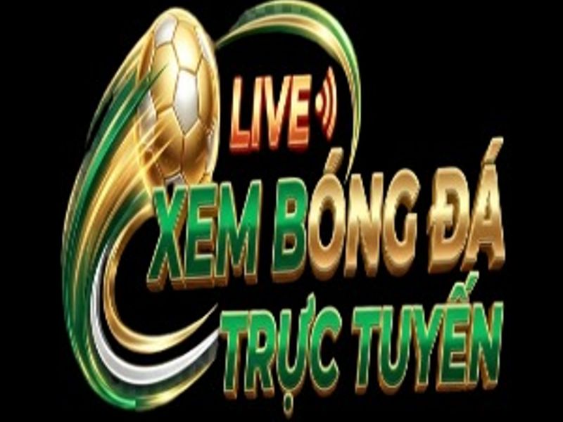 xembongdattltn