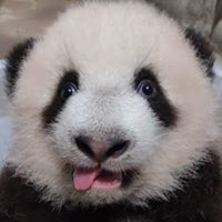 xinchaongayxua