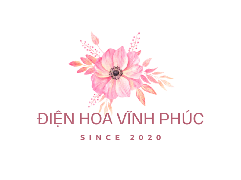 dienhoavinhphuc