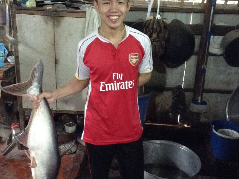 thuanvotv