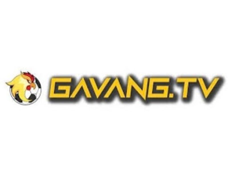 gavangtvfun1