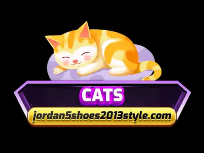 jordan5shoes2013style