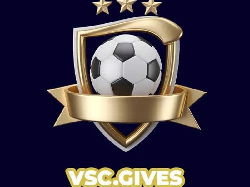 vscgives