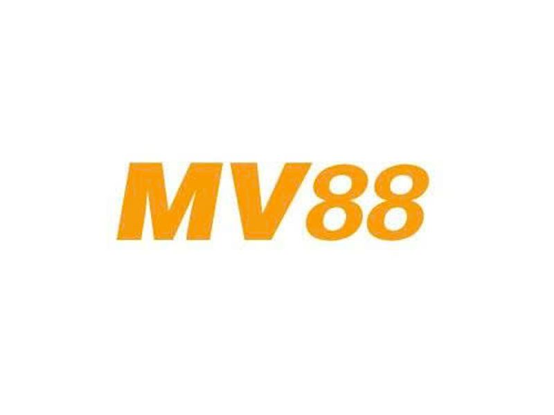 mv88design