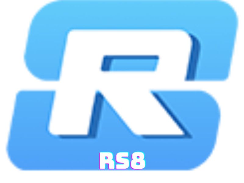 rs8biz