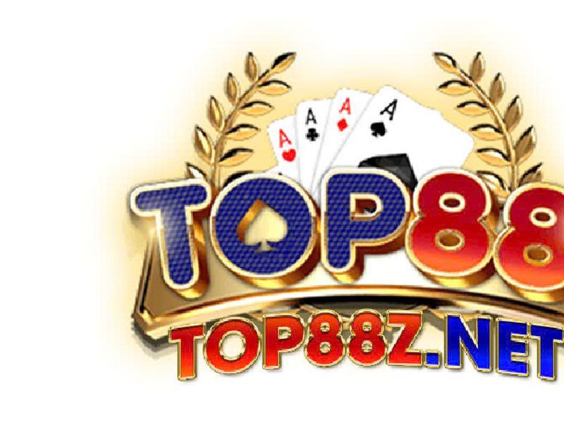 top88znet