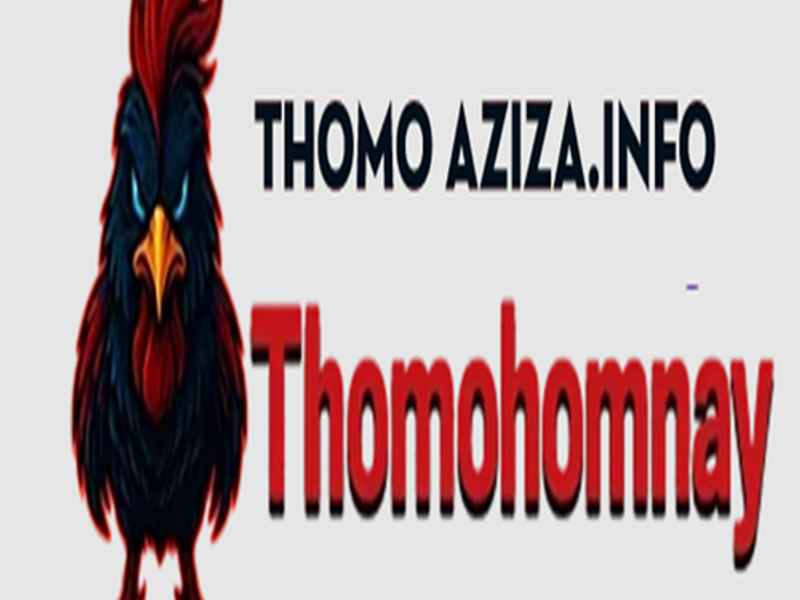 thomohomnayaziza