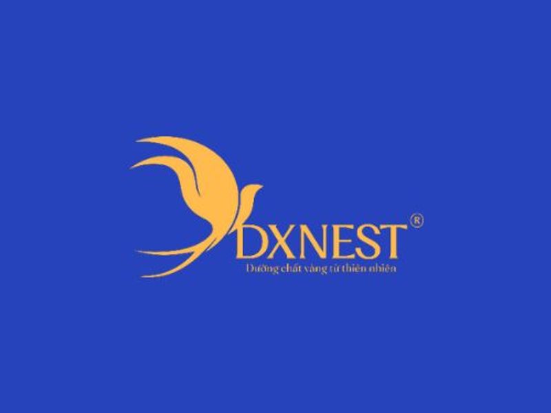 dxnest