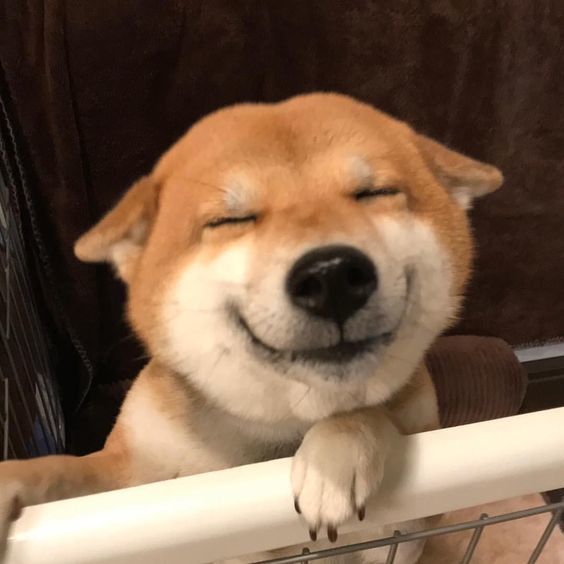 Chunsome