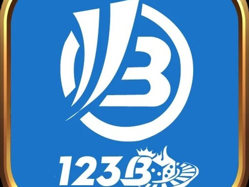 123bllc1