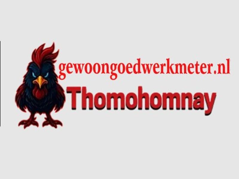 thomohomnaygewoon