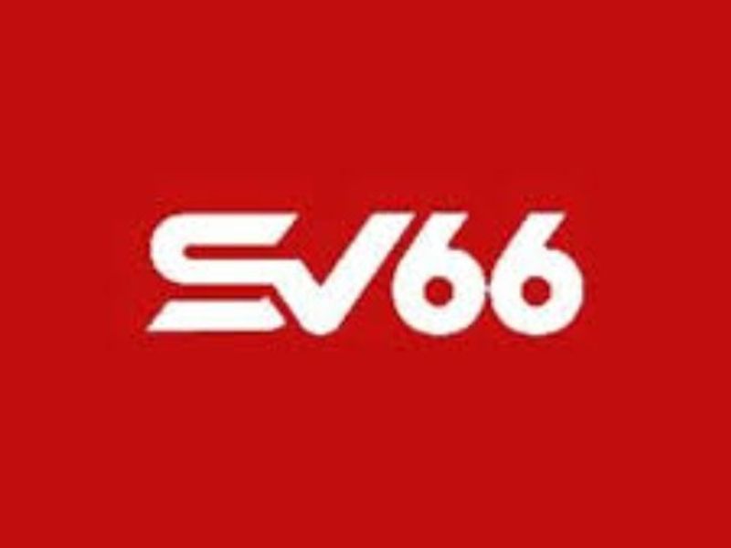 SV66marketing