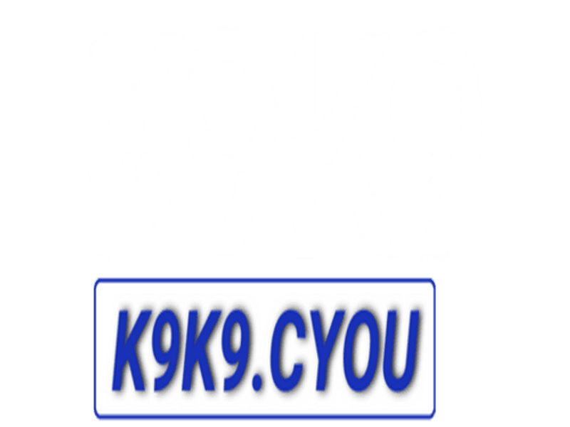 k9k9cyou