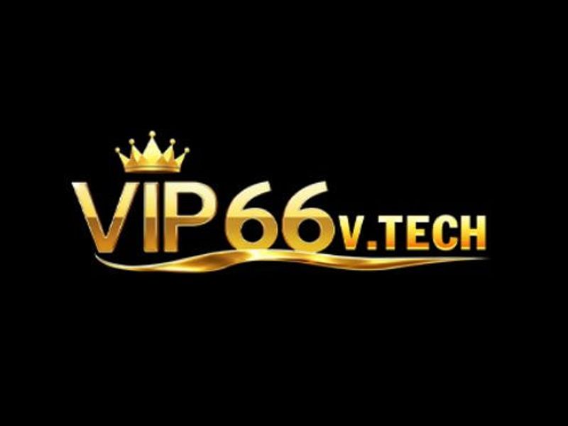 vip66vtech