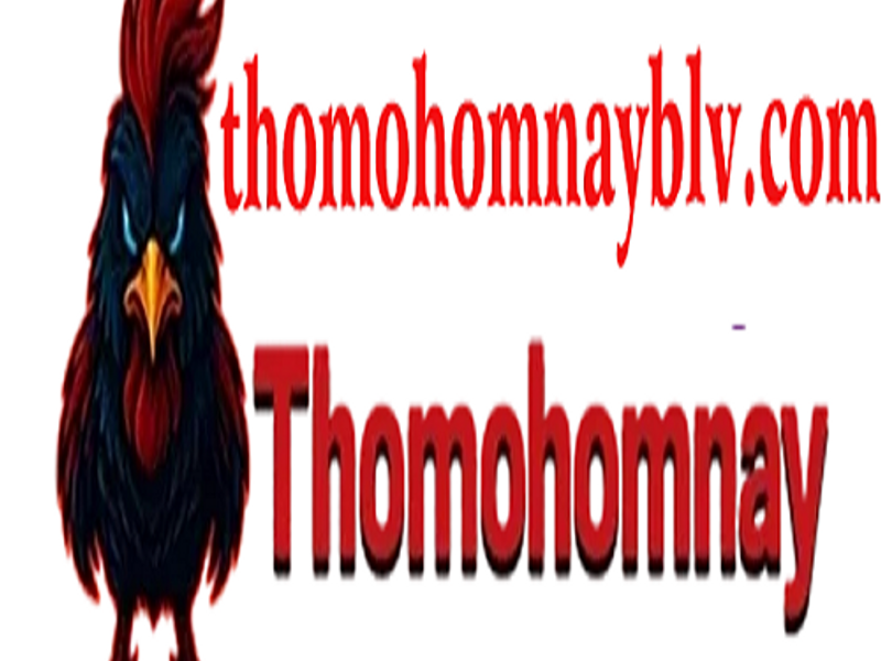 thomohomnayblvcom