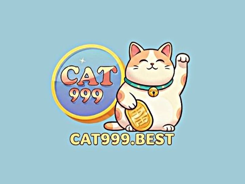 cat999best