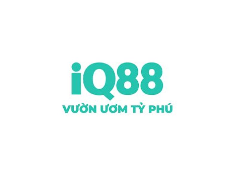 IQ88one1