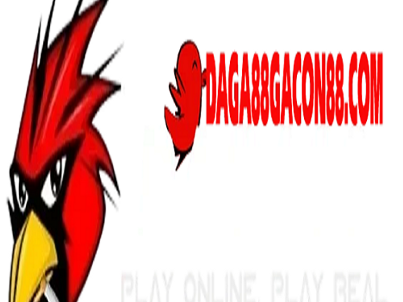 daga88gacon88