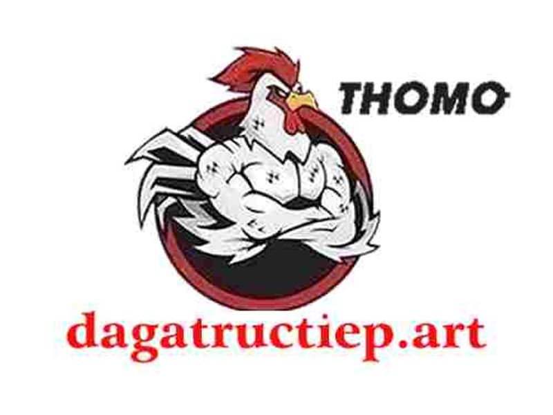 dagatructiepart2