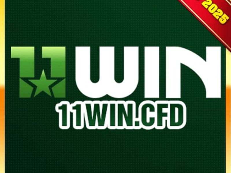 11wincfd