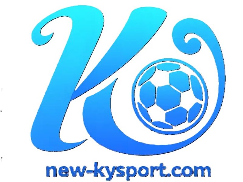kaiyunsport