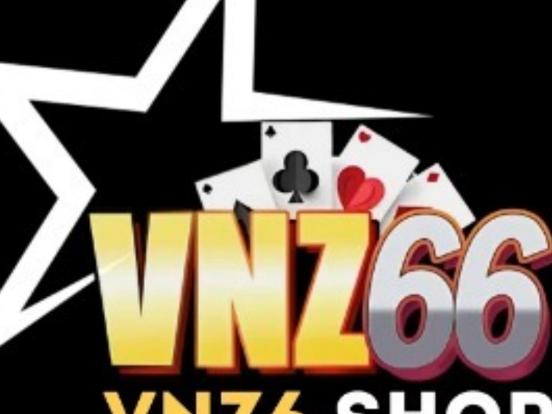 Vnz6shop