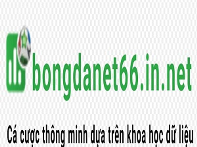 bongdanet66innet