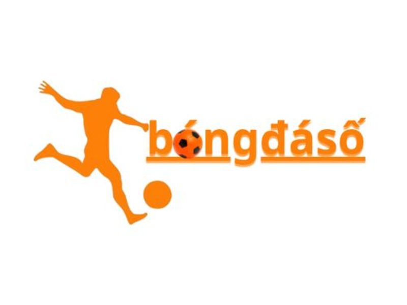 bongdasocv