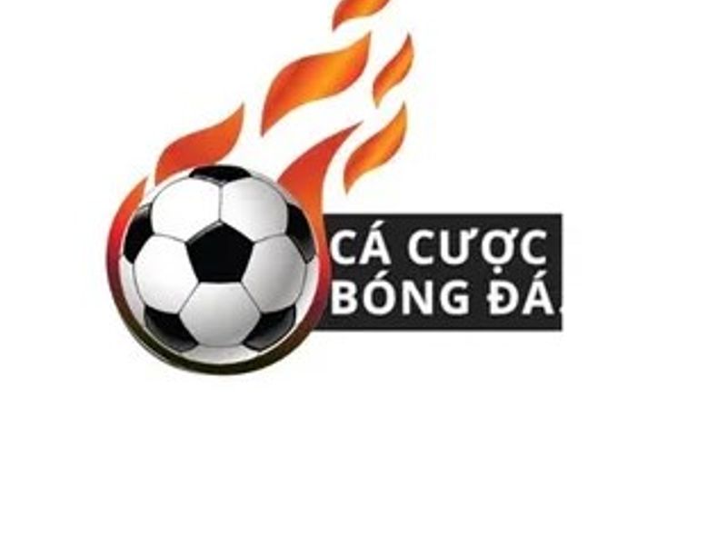 trangcacuocbongdasacom