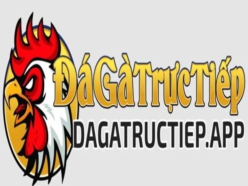 dagatructiepapp