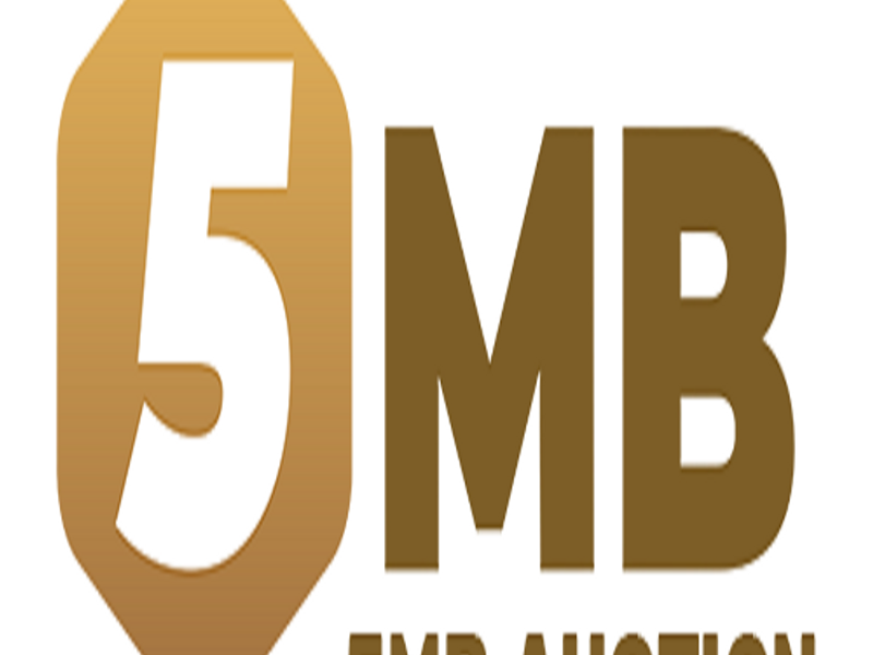 5mbauction
