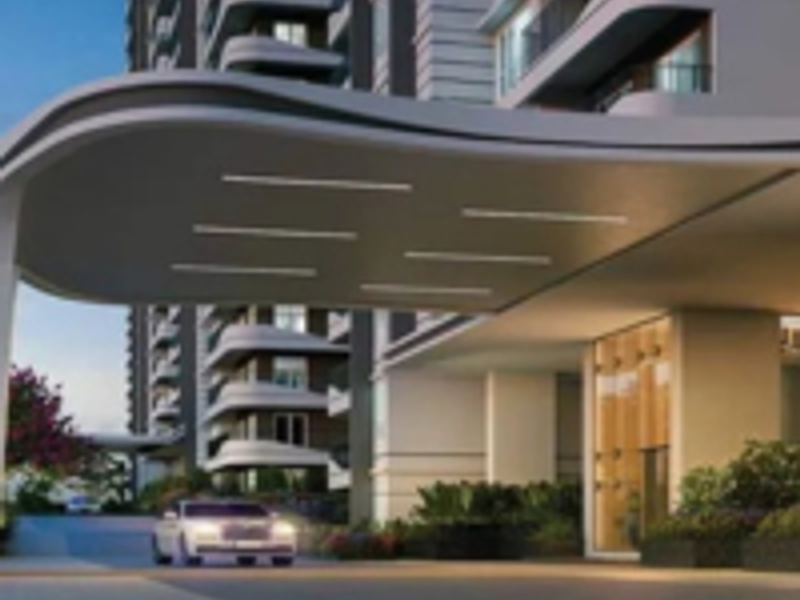 purvasnorthernlights