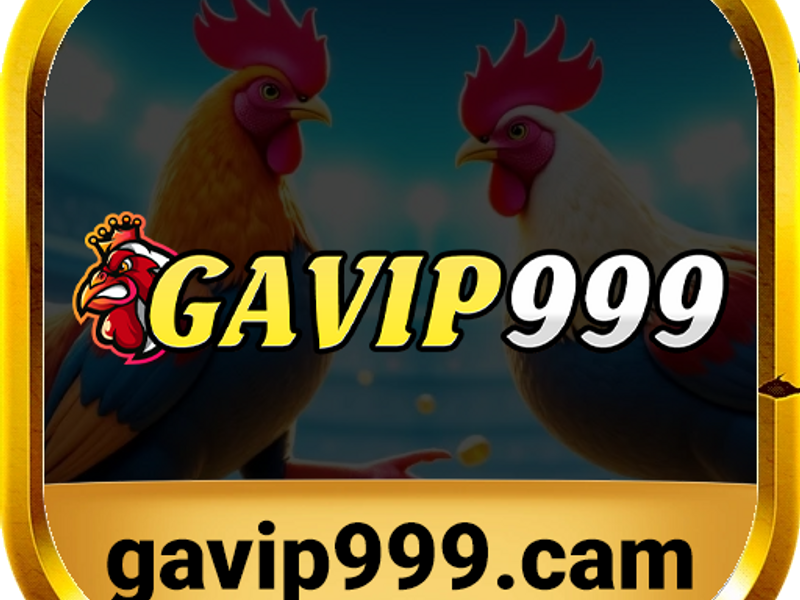 gavip999shoes