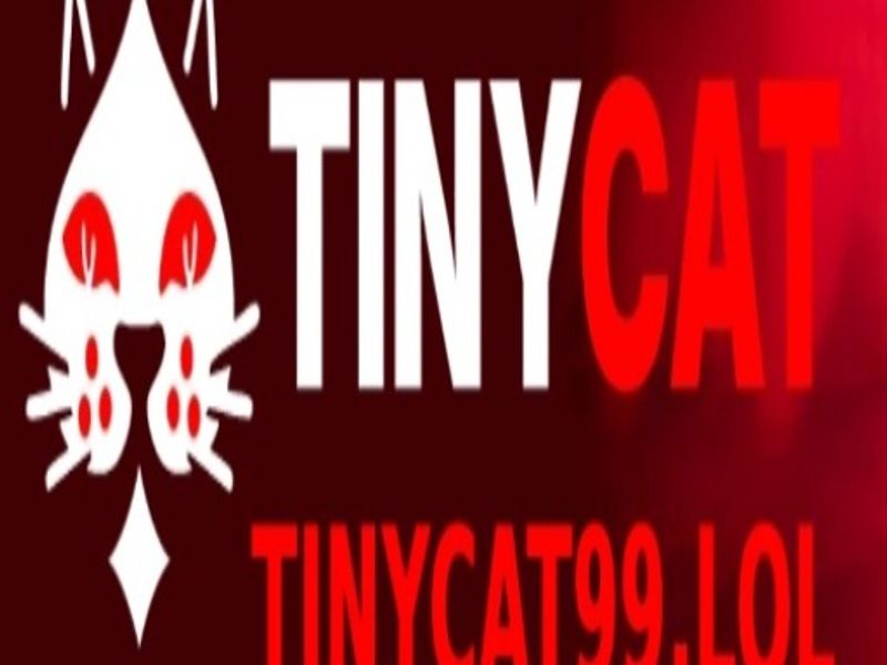tinycat99lol