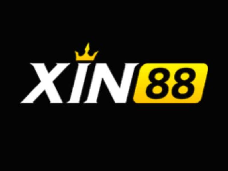 xin88agency