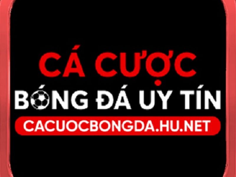 cacuocbongdahunet
