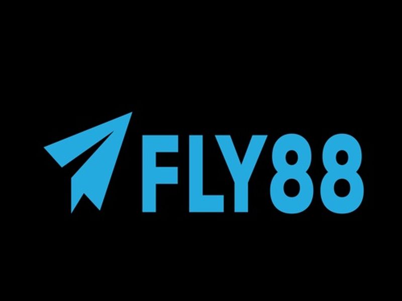 fly8800net