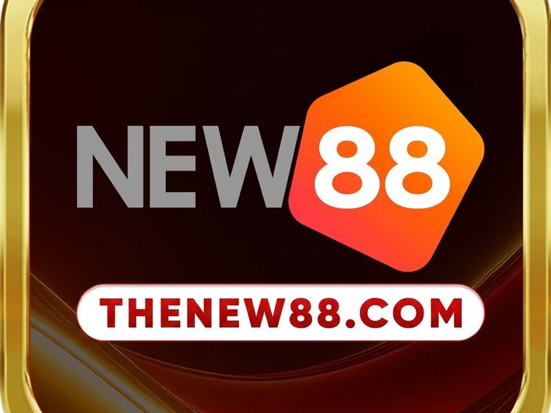 thenew88com