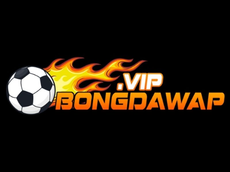 bongdawapvip