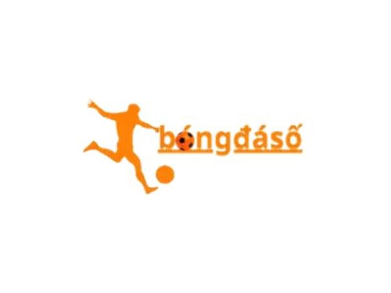 bongdasoresearchltc