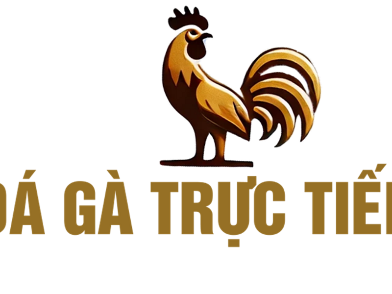 dagatructiephomnaycom