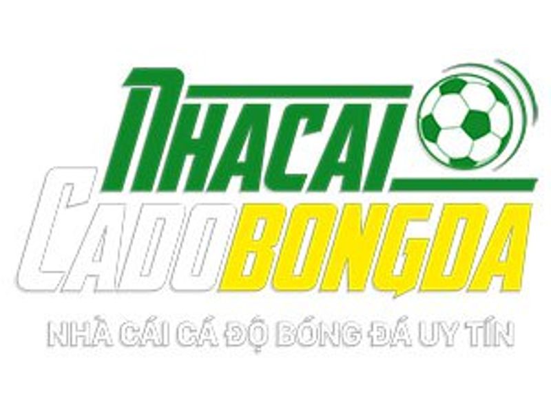 egyptsportsnetworknet