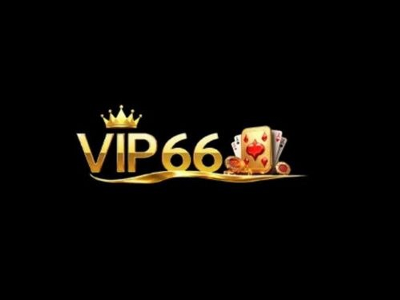 vip66ink