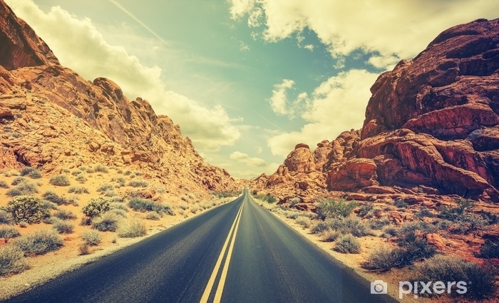 desert_flower